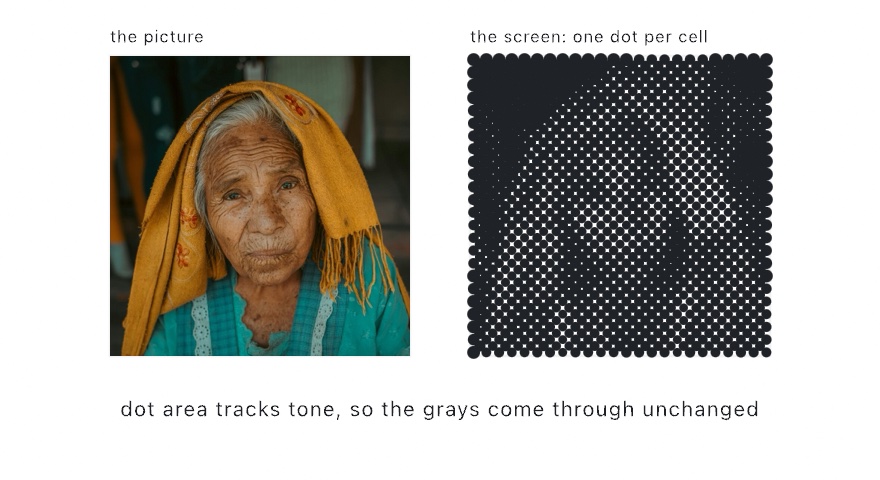 A photograph of an elderly woman in a yellow scarf beside the same picture as a halftone screen: black dots on cream, small on the lit cheek and swelling in the shadows of the scarf until they merge into checkered diamonds
