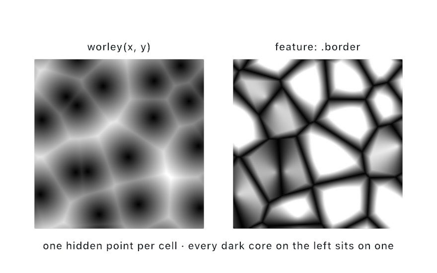 Two panels of cellular noise: distances shaded so each hidden point sits in a dark core, and the border reading drawing dark walls between the cells