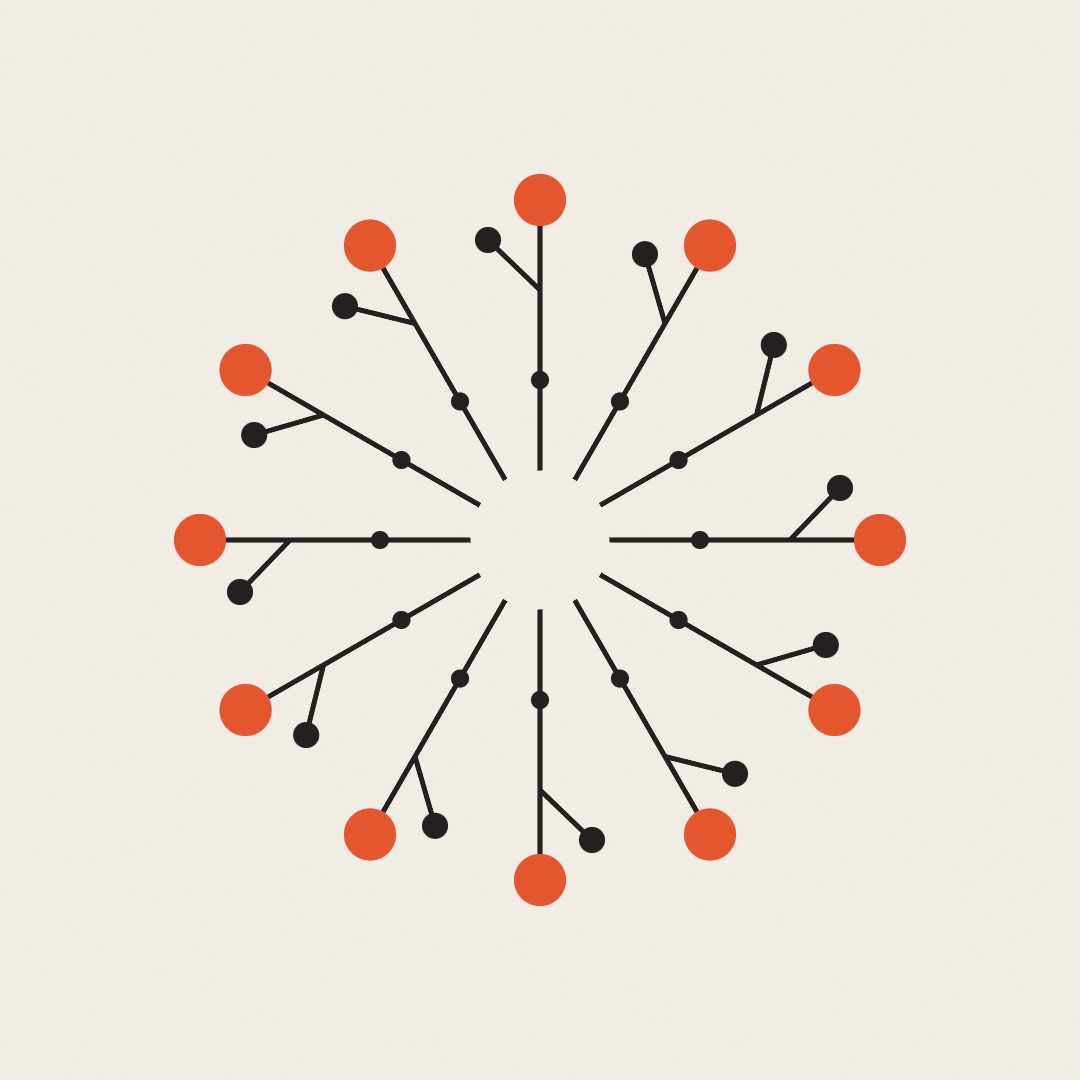 A twelve-fold rosette: one branching arm repeated by rotation into a botanical snowflake
