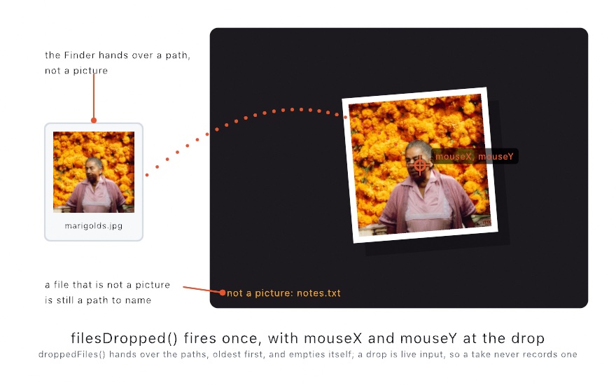 A diagram of a file tile labeled marigolds.jpg leaving the Finder on a dotted trail that arcs into a dark sketch window, where the picture sits a little turned on a white border under an orange crosshair labeled mouseX, mouseY. An orange line in the window's corner reads not a picture: notes.txt. Callouts say the Finder hands over a path, not a picture, and that a file that is not a picture is still a path to name
