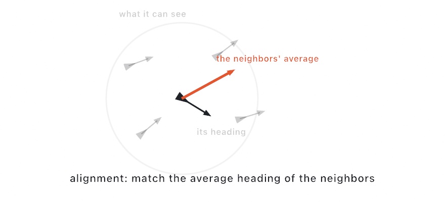 One dark boid among gray neighbors inside a faint circle labeled what it can see, with an arrow showing the average heading it turns toward