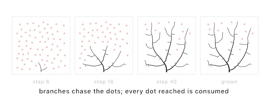 Four panels of the same growth at step 6, 18, 40, and finished: ink veins spread from a bottom root into a field of orange dots, and the dots vanish as branches reach them