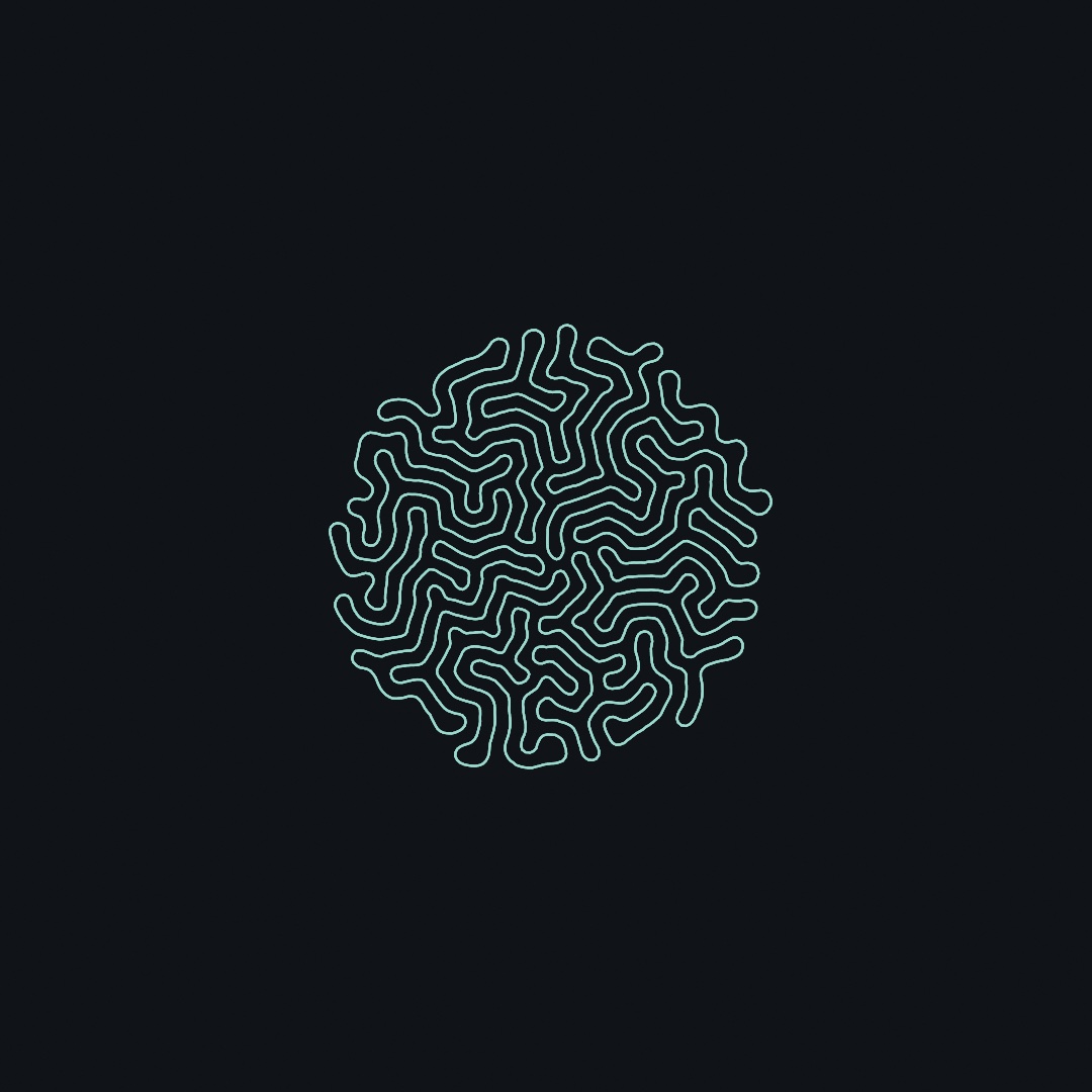 A dense pale-teal outline folded like brain coral, grown from a circle, centered on a dark canvas