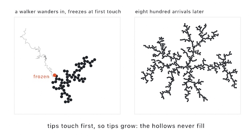 Two panels: left, a gray wandering path drifts in from the corner and ends at an orange dot marked frozen on the edge of a small ink cluster; right, a dendritic cluster of eight hundred dots with wispy arms and open hollows