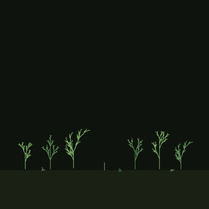 The garden growing: a pale tree climbs from the soil and branches into its crown while lichen tufts creep outward along the ground between still green plants
