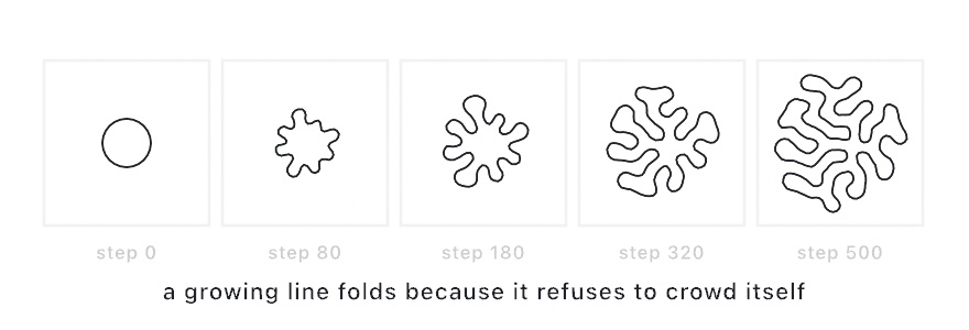 Five small panels showing the same ring at step 0, 80, 180, 320, and 500: a circle wobbles, then folds into a dense meandering coral-like blob
