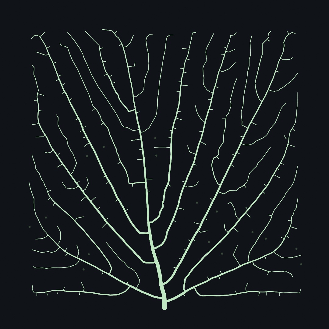 Pale green veins on a dark canvas, grown from one root at the bottom edge: a thick trunk that forks and forks again, every branch thinner than the one it left, until hairline twigs with short side shoots reach into every pocket of the square, with a few dim dots left where nothing has arrived yet