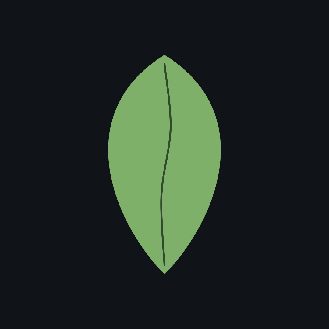 A single green leaf built from two mirrored curves on a dark canvas, with a darker vein curving down its middle