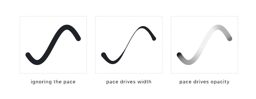 One S-curve drawn three times at one stroke weight by a hand that is slow at the ends and fast through the middle: ignoring the pace it is an even line, letting the pace drive width it swells at the ends and narrows to a hairline in the middle, letting the pace drive opacity it stays the same width but fades