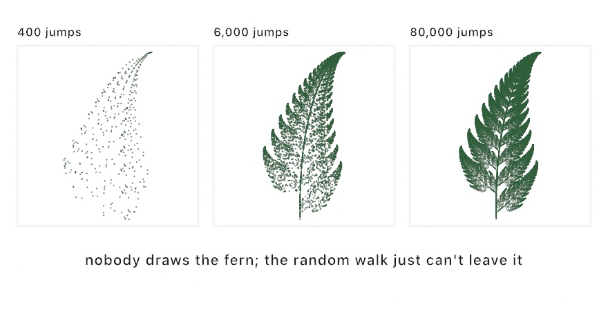 Three panels of the Barnsley fern from the chaos game, at 400 jumps a loose dust that vaguely suggests a leaf, at 6,000 a recognizable fern, and at 80,000 a dense one with every frond resolved