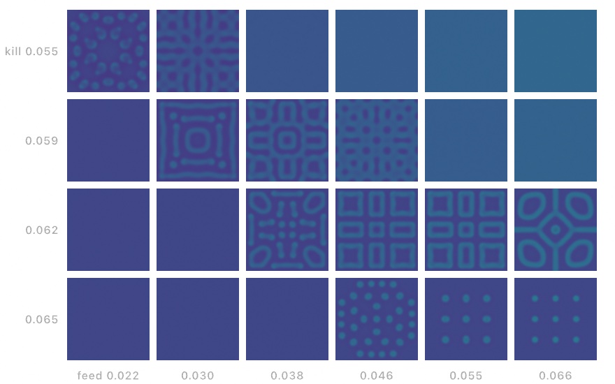 A six-by-four grid of reaction-diffusion dishes at different feed and kill settings: most sit quiet, while a diagonal band grows spots, rings, mazes, and mitosing dots