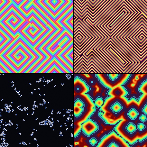 Four square panels. Top left, nested rainbow spirals and diamond wave trains of a cyclic automaton. Top right, fine concentric orange-and-black chevron wave trains radiating from a central spiral pair. Bottom left, sparse white and blue cell clusters scattered on black. Bottom right, thick concentric rings in rainbow thermal colors, red-and-yellow cores inside green-and-cyan rims, on a dark purple ground