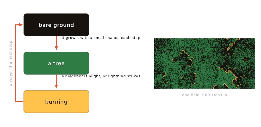 Left, three boxes in a column, bare ground, a tree, and burning, with arrows down between them labeled it grows with a small chance each step and a neighbor is alight or lightning strikes, and an arrow back up the side labeled always the next step. Right, a field running the rule, a green forest cut by dark scars with amber fire lines in it