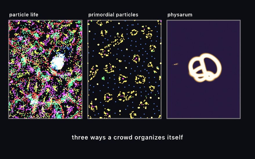 Three dark panels. Left, Particle Life in dense magenta, yellow, green, and red clusters forming membranes and cells. Middle, the Primordial Particle System, yellow rings of crowded particles scattered among lone blue wanderers. Right, Physarum, one bright knot of transport loops on an empty violet trail field