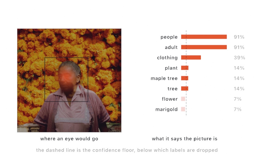 Two panels: a photograph of a woman standing before a wall of orange marigolds with an orange saliency glow concentrated on her face, and a bar chart with people and adult at 91 percent reaching well past a dashed line, then clothing, plant, maple tree and tree, with flower and marigold at 7 percent falling below it