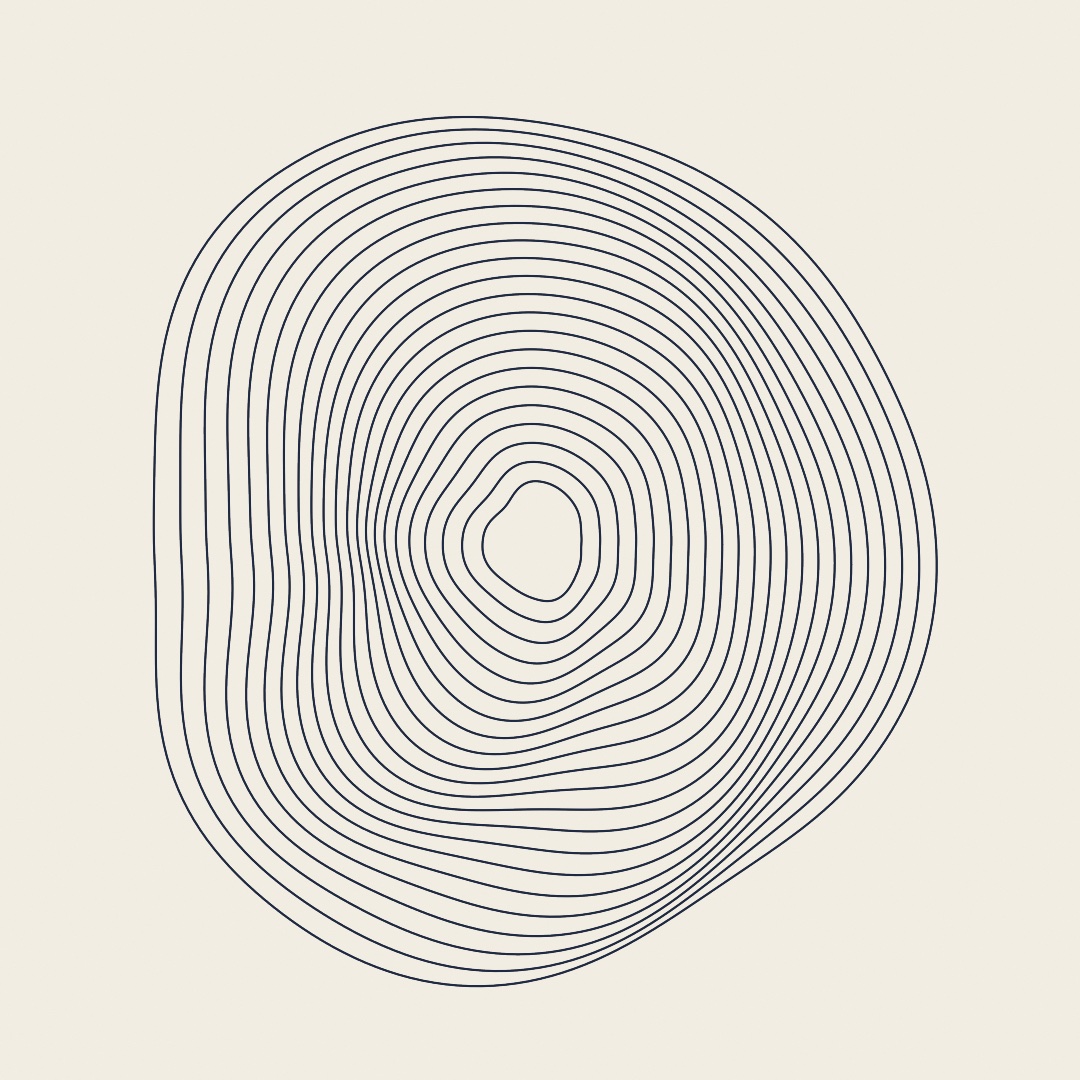 Concentric single-line rings around a still center on cream paper, each ring bent by the same noise field so neighboring rings bend together and the outer ones bend most