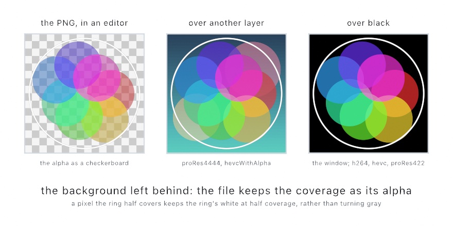 One export of a cluster of translucent lobes and a white ring, drawn three times: over the checkerboard an image editor shows behind a see-through file, over a blue and teal layer with soft shapes, and over black