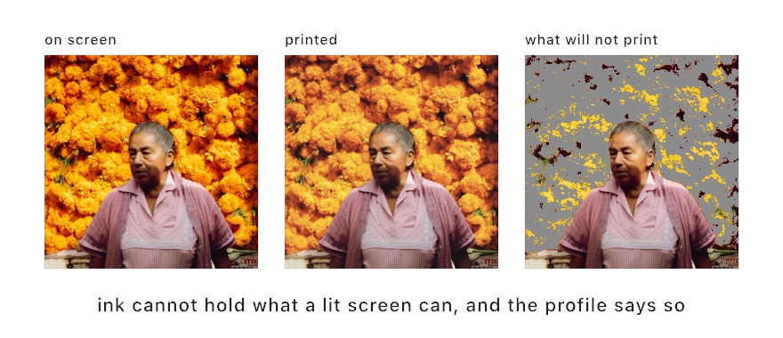 Three panels of one photograph of a woman before a wall of marigolds: as the screen shows it, the same picture proofed for a four-ink press with the orange gone duller, and the gamut check with most of the wall replaced by gray