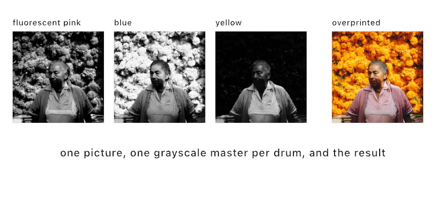 Four panels: three grayscale masters labeled fluorescent pink, blue, and yellow, each carrying a different part of one photograph of a woman before a wall of marigolds, followed by the color preview of the three overprinted, which reads as the photograph again