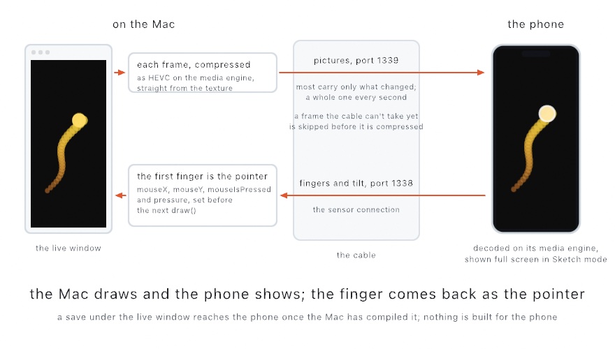 A diagram of a sketch shown on the phone from the Mac: the live window on the left with a trail of paint and a finger's circle in it, each frame compressed as HEVC on the Mac's media engine, a cable carrying pictures to the phone on port 1339 and fingers and tilt back on port 1338, the phone on the right showing the same picture with a fingertip resting on the circle, and the first finger set as mouseX, mouseY, mouseIsPressed, and pressure before the next draw