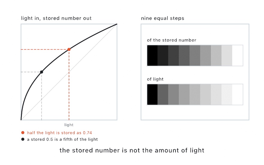 Left, a curve of the stored number against the light, bowed above the diagonal, marking half the light stored as 0.74 and a stored 0.5 at a fifth of the light. Right, two strips of nine gray steps: equal steps of the stored number darken evenly, and equal steps of light crowd toward white