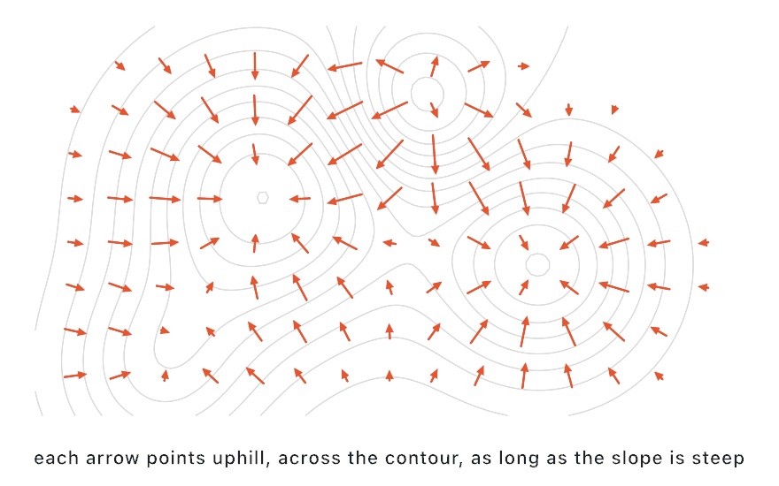 Thin contour lines of two hills and a hollow, with orange arrows on a grid. The arrows point in toward each hilltop and out of the hollow, cross every contour at a right angle, and are longest where the contours crowd together
