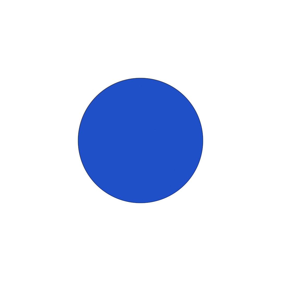 A blue circle centered on a white canvas: the translated sketch at its first frame